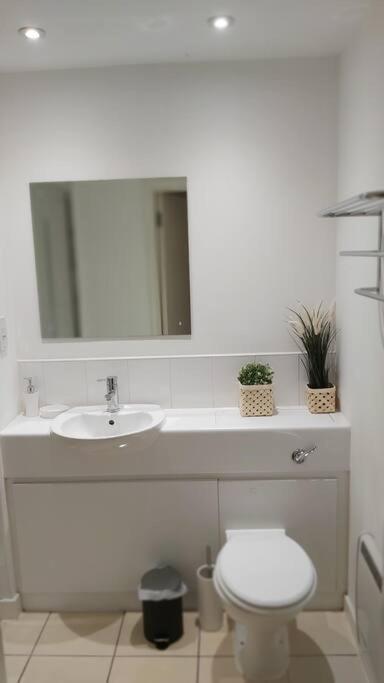 Piquancy Apartments - Sheffield City Centre Ngoại thất bức ảnh
